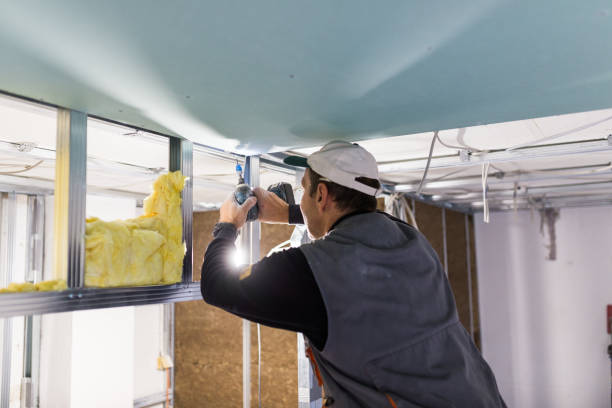 Best Local Insulation Services  in Graniteville, SC