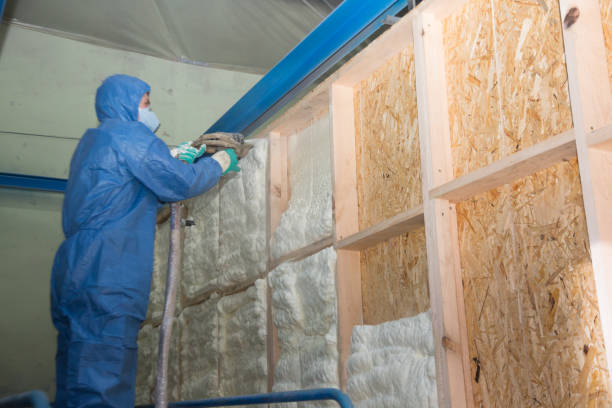 Best Attic Insulation Installation  in Graniteville, SC