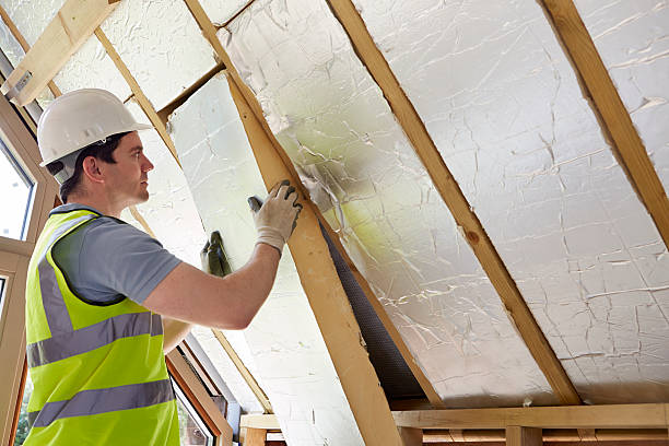 Best Insulation Repair Services  in Graniteville, SC