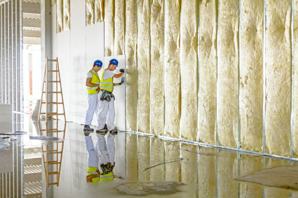 Best Attic Insulation Installation  in Graniteville, SC
